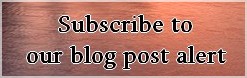 Budapest blog update email