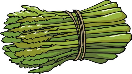 Asparagus Hungary